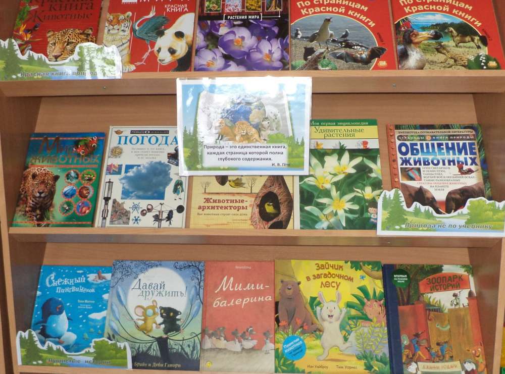 ЧЕРЕЗ КНИГУ В МИР ПРИРОДЫ