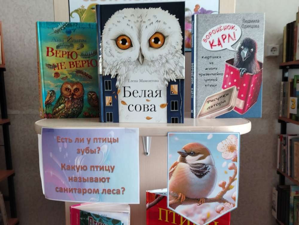 ПТИЦЫ НА КНИЖНОЙ ПОЛКЕ