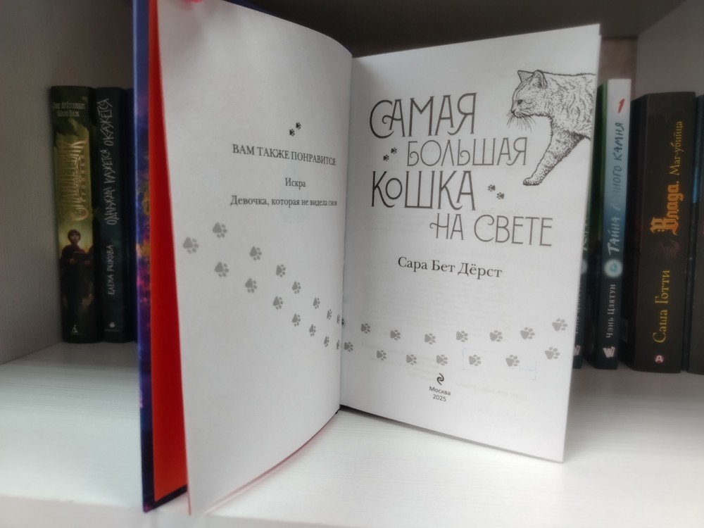 «САМАЯ БОЛЬШАЯ КОШКА НА СВЕТЕ»